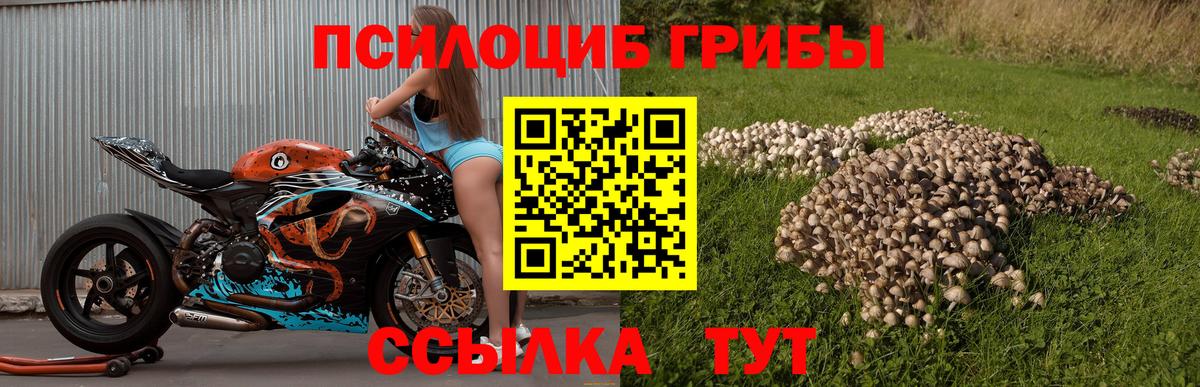 Псилоцибиновые грибы прущие грибы  Вход с VPN  Лысьва  Галлюциногенные грибы Psilocybine cubensis 
